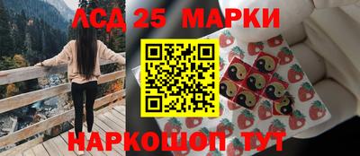 сатива Моздок