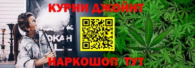 сатива Моздок