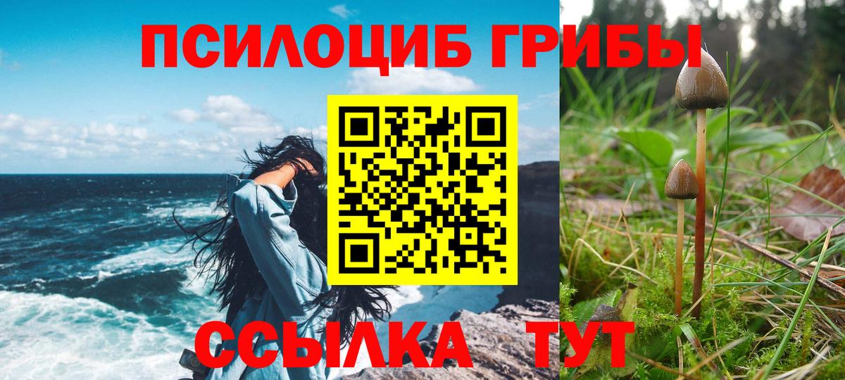 Псилоцибиновые грибы Psilocybe  Галлюциногенные грибы ЛСД  Печора  что такое наркотик  Вход с VPN 